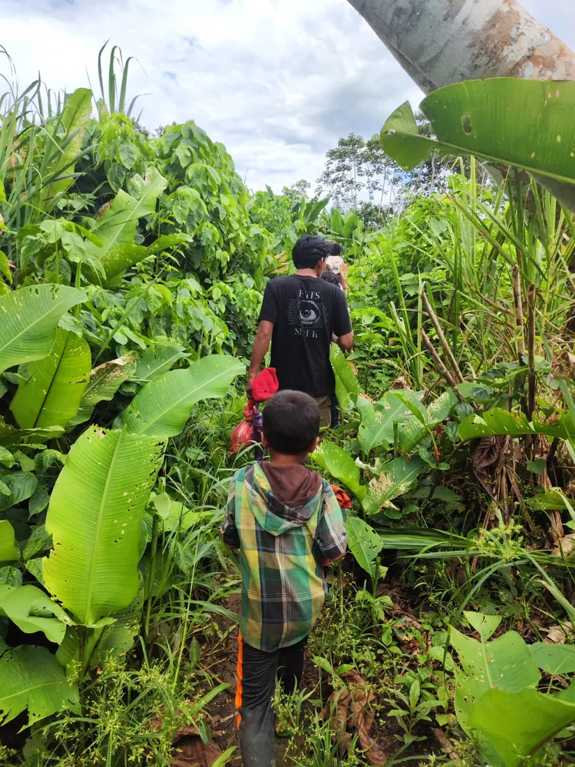 Caminata del equipo por la selva rumbo a la comunidad