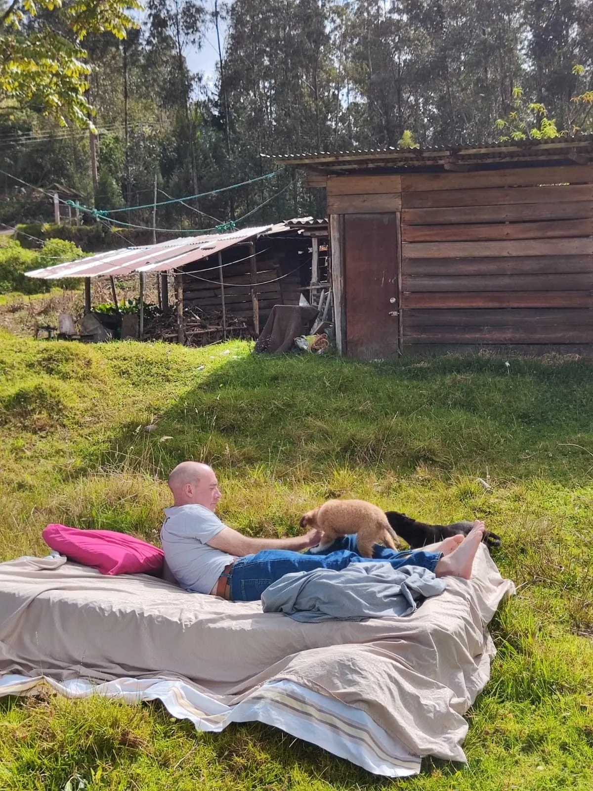 Espacio de descanso e integración durante un proceso terapéutico de PsicoXibina